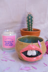 Take It Easy Planter