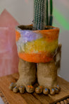 Vibrant Gradient Ceramic Toe Planter