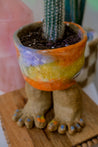 Vibrant Gradient Ceramic Toe Planter