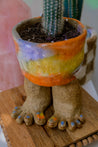 Vibrant Gradient Ceramic Toe Planter