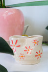 Daisy Red Lip Planter - Sale for Damage (See Photo)