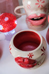 Red Lip Daisy Planter