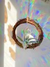 Air Plant Dreamcatcher Alternative Wedding Gift, Bridesmaid Gift, Shower Gift - Tillandsia Xerographica - Ionantha Guatemala