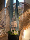 Mushroom Plant Trellis