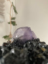 Fluorite on Sphalarite COLLECTORS ITEM