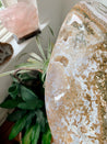 HUGE Rainbow Ocean Jasper Cut-Base Freeform with Vugs and Orbs