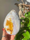 Grade A Ocean Jasper Freeform