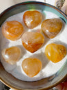 Golden Healer Mini Hearts
