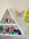 Butterfly Wood Design Propagation Station