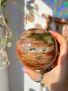 Petrified Wood XL Crystal Sphere