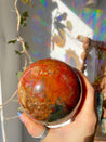 Petrified Wood XL Crystal Sphere