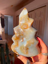 Grade A Ocean Jasper Flame #3