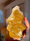 Grade A Ocean Jasper Flame #4