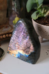 Fire Flash Labradorite Freeform #18