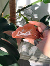 Carnelian Crystal Cloud #3