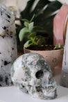 XL Miss Agate Skull