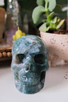Large Moss Agate Crystal Skull