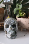 XL Miss Agate Skull