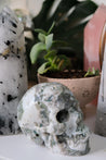 XL Miss Agate Skull